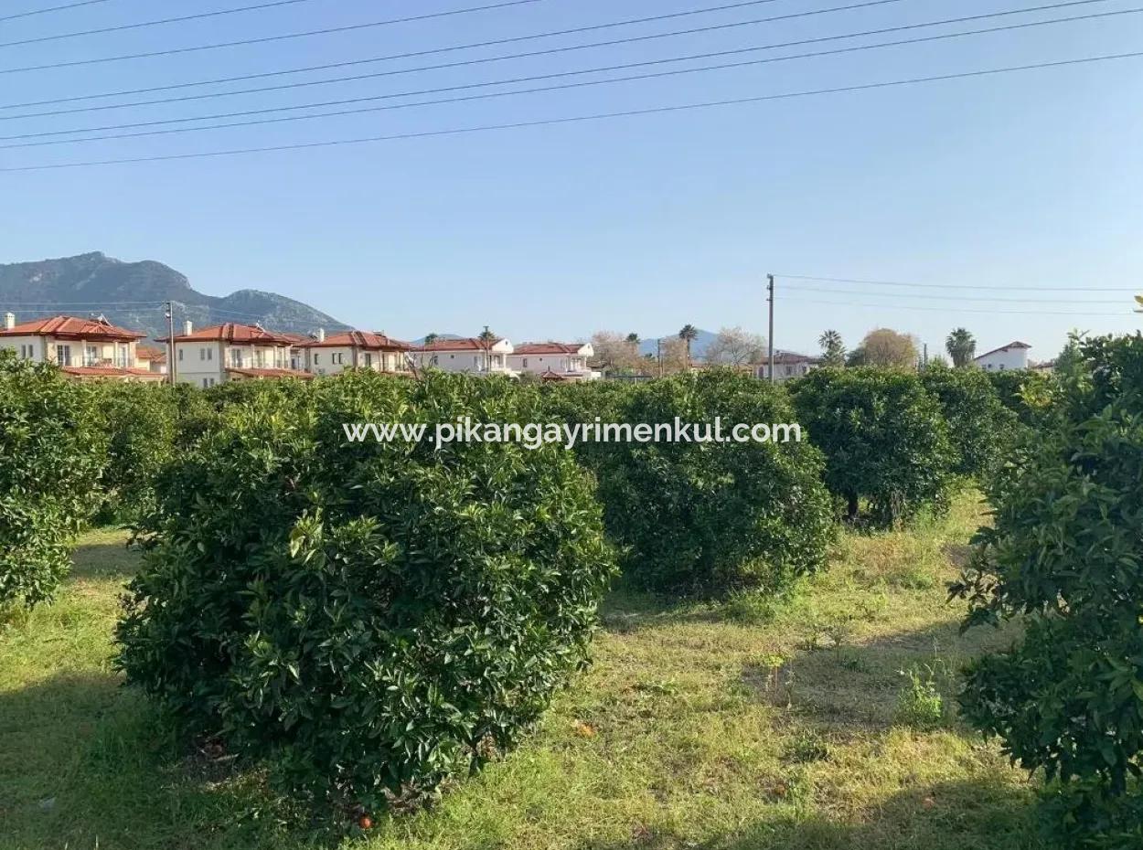 830 M2 Plot For Sale Bargain In Dalyan