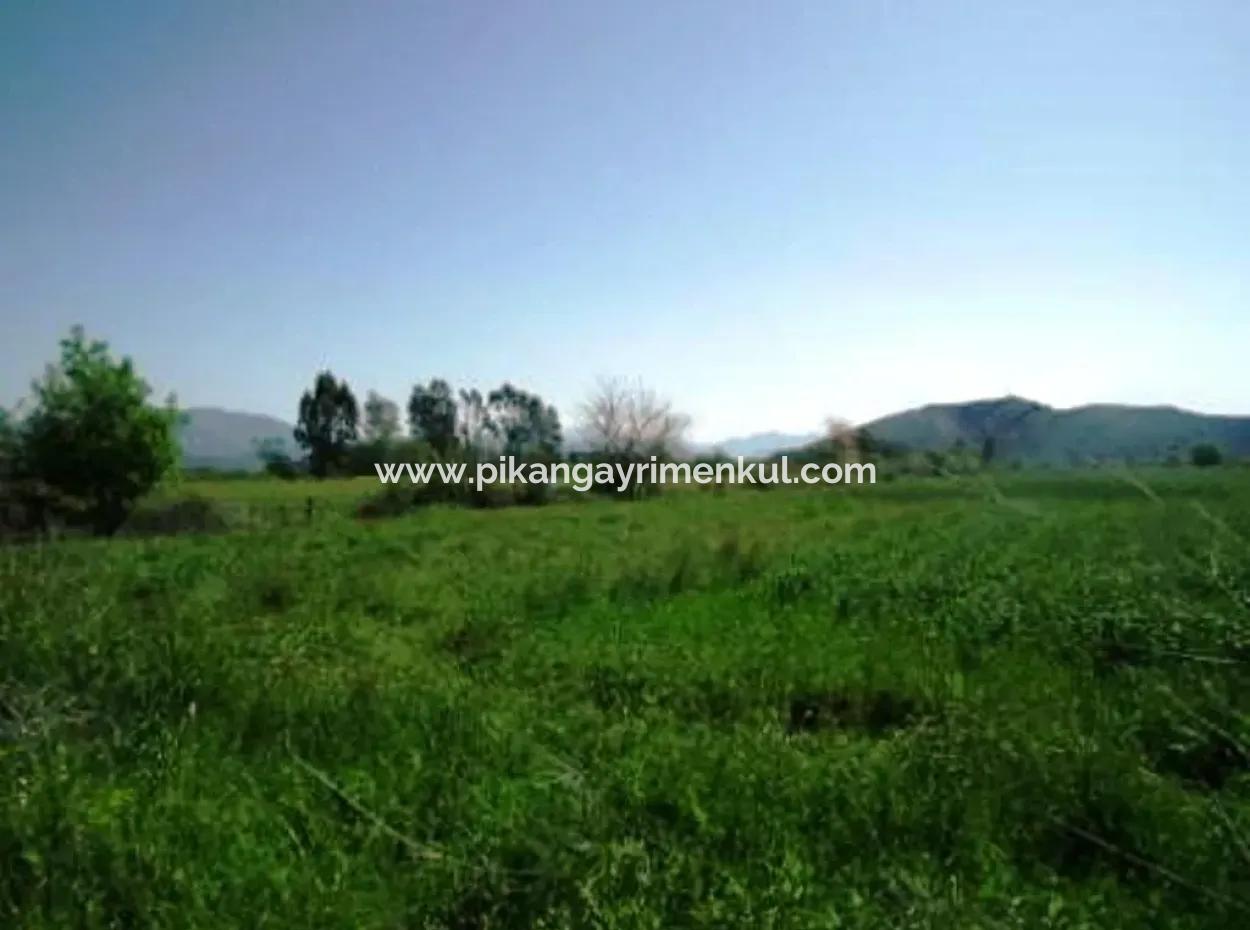 Oriya Raider Fertile Land For Sale 30 000 M2