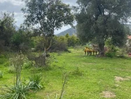 541 M2 Detached Land For Sale In Çandır, Muğla Köyceğiz