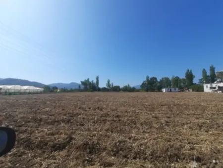 7 500 M2 Bargain Land For Sale In Ortaca Kemaliye