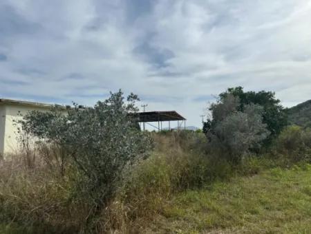 1644 M2, 250 M2 Construction Permit Land For Sale In Ortaca Fevziye