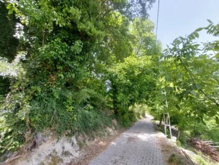 Çameli Elmalıda 615M2, 250M2 Land With Construction Rights For Sale Or Vehicle Exchange