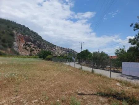 Köyceğiz Çandırda Detached Title Deed 33.800 M2 Field For Sale