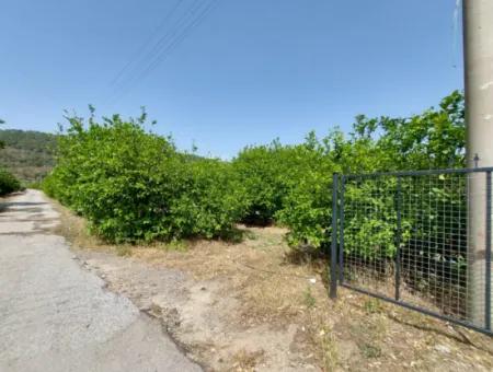 Muğla Ortaca Ekşiliyurtta Residential Zoned Detached 2 000M2 Land For Sale