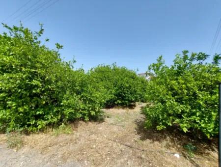 Muğla Ortaca Ekşiliyurtta Residential Zoned Detached 2 000M2 Land For Sale