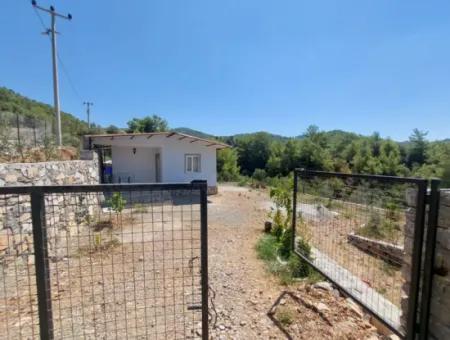 Muğla Ortaca Gökbelde 1 1 Detached, Furnished New House For Rent