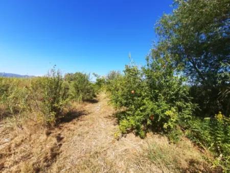 26.200 M2 Village Pasture Zero Bargain Land For Sale In Dalyan