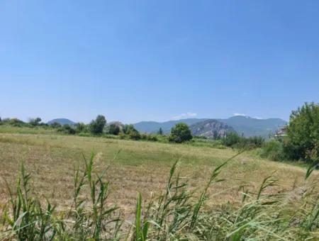 20.600 M2 Of Land In Ortaca Dalyan, 250 M2 Of Detached Land With The Right To Build A House Is For Sale