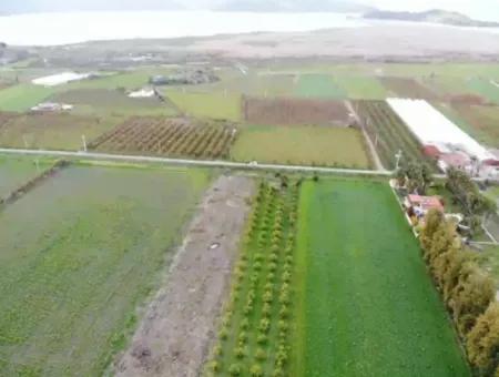 4100M2 Field For Sale Close To Lake In Dalyanda, Muğla