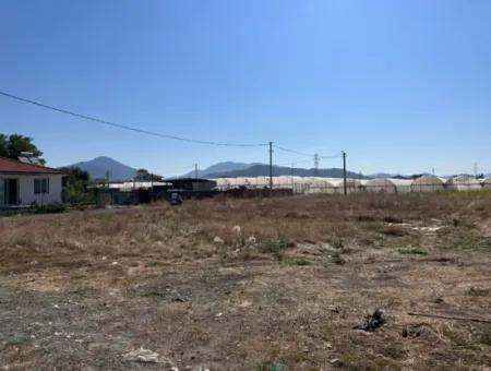 2585 M2 Detached Land Close To The Lake In Köyceğiz Çandırda For Sale