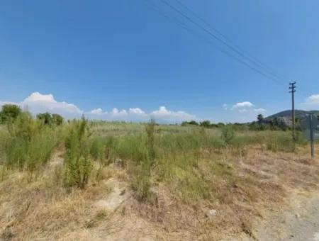 Muğla Ortaca Dalyanda 7.353 M2 Detached Land Close To The Canal For Sale