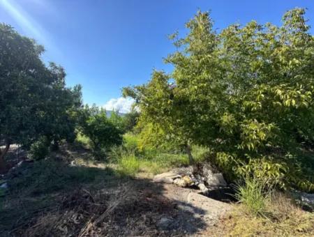 1129 M2 Zoned Land For Sale In Ortaca Dalaklı