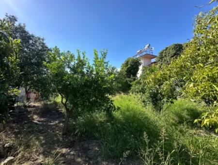 1129 M2 Zoned Land For Sale In Ortaca Dalaklı