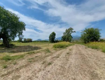 Mountainfront Fertile 1.680 M2 Land For Sale In Dalyan, Muğla