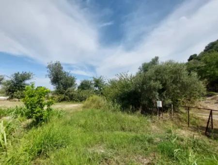 Mountainfront Fertile 1.680 M2 Land For Sale In Dalyan, Muğla