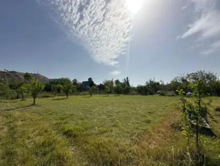 Ortaca Mergenlide Detached Title Deed 11.000 M2 Bargain Land For Emergency Sale