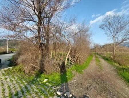 2585 M2 Detached Land Close To The Lake In Köyceğiz Çandırda For Sale