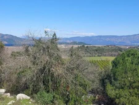 1.000M2 Detached Land With Köyceğiz Lake View For Sale In Dalyan