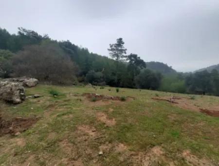 24.000 M2 Detached Land For Sale In Muğla Dalyan Gökbelde Nature