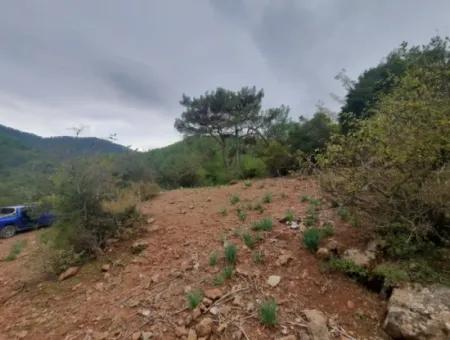 24.000 M2 Detached Land For Sale In Muğla Dalyan Gökbelde Nature