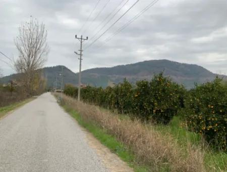 1084 M2 Zoned Bargain Land For Sale In Ortaca Ekşiliyurt