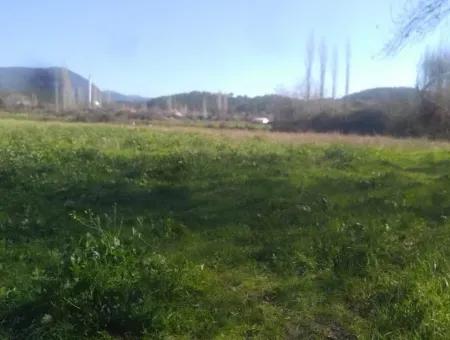 Land For Sale In Bargain Detached Zeytinalani