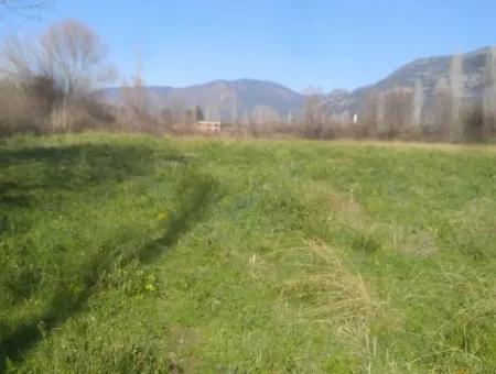 Land For Sale In Bargain Detached Zeytinalani