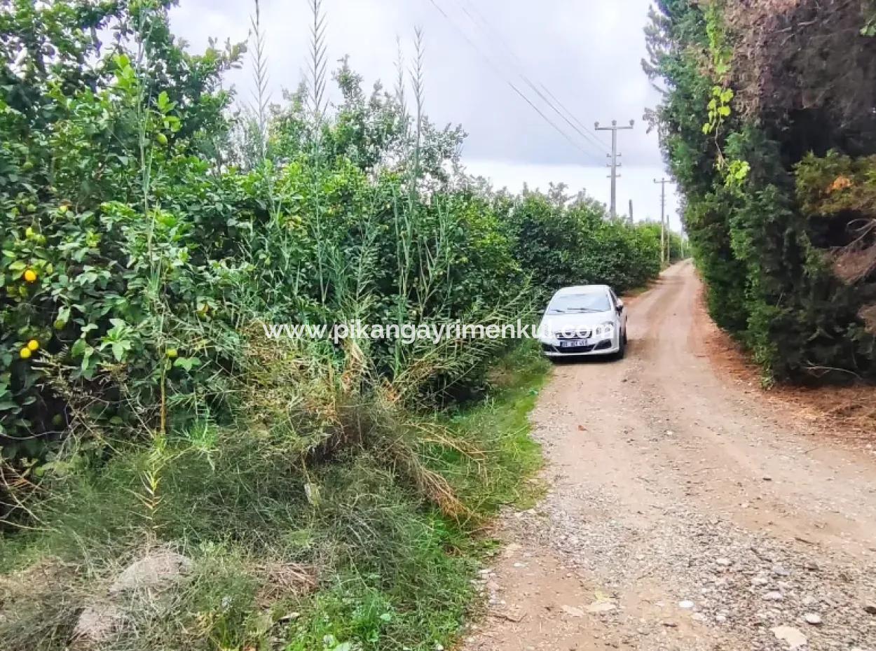 Muğla Ortaca Fevziyede Denize 3 Kmde 6 200M2 Tarla Satılık