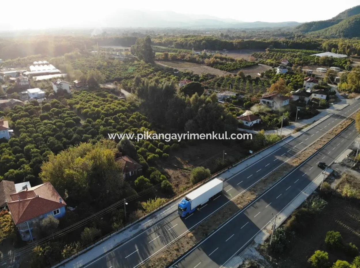 Muğla Köyceğizde Antalya - İzmir Anayola Sıfır Akaryakıt İstasyonu Uygun Ticari İmarlı Arsa Satılık