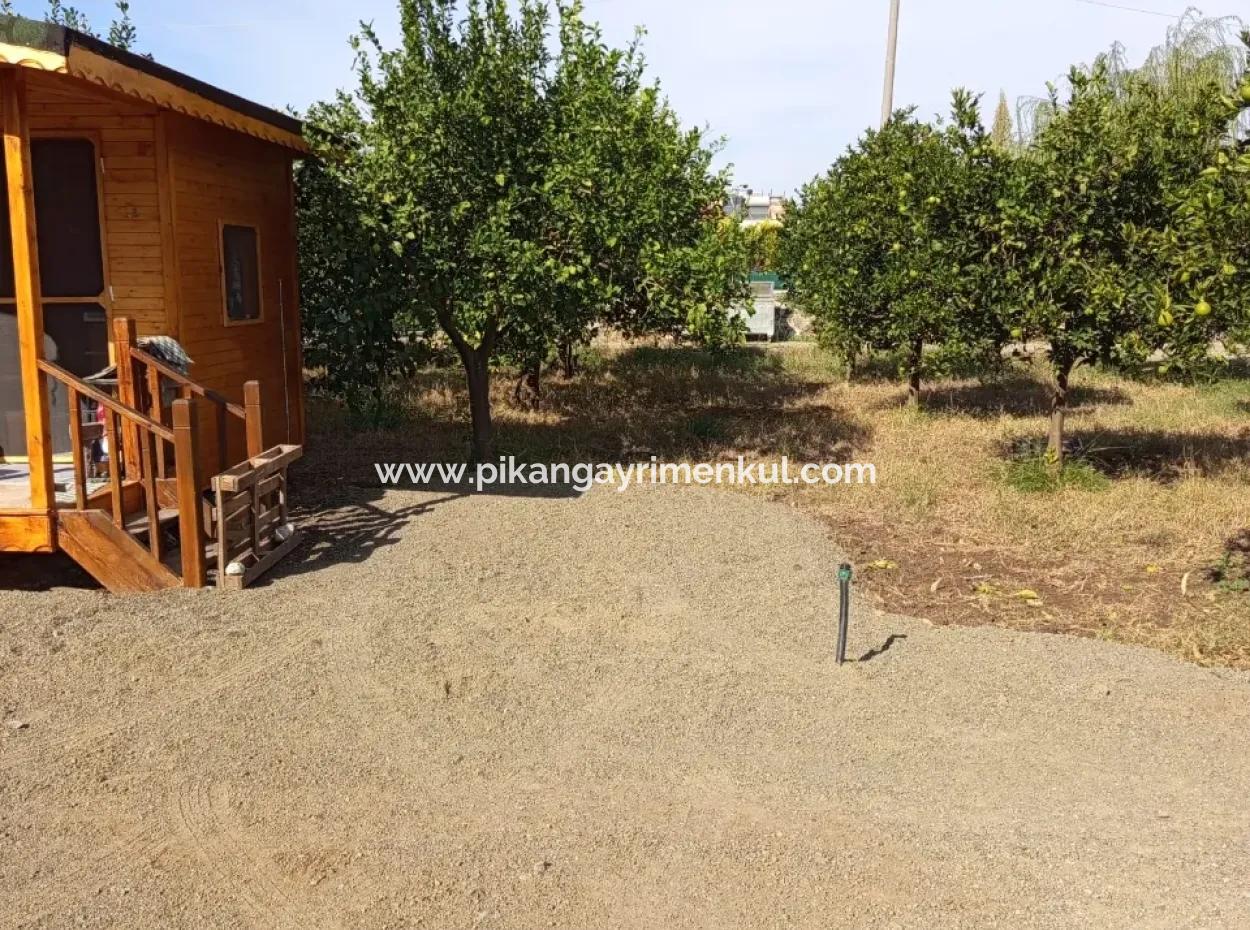 Muğla Ortaca Okçularda 1+1 Ahşap Bungalov Kiralık