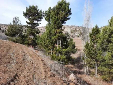 Çameli Kınıkyerinde Acıpayam Yoluna Sıfır 15.250 M2 Kelepir Arazi Satılık