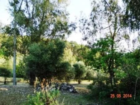 Muğla Fethiye Eldirekte 600 M2 Deniz Manzaralı Bahçe Satılık