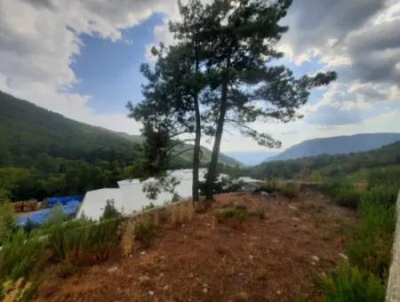 Muğla Köyceğiz Ağla, Yaylada 1 758 M2, İmarlı Arsa Satılık