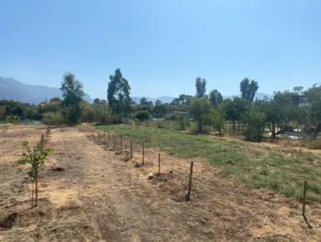 Köyceğiz Çandır Dalyan Kanalına Sıfır 3210 M2 Arazi Satılık