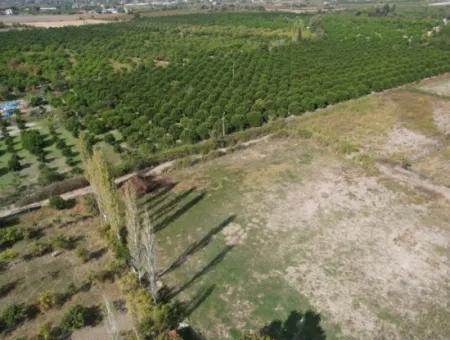 Ortaca Okçular Satılık Yatırıma Uygun 530 M2 Arsa