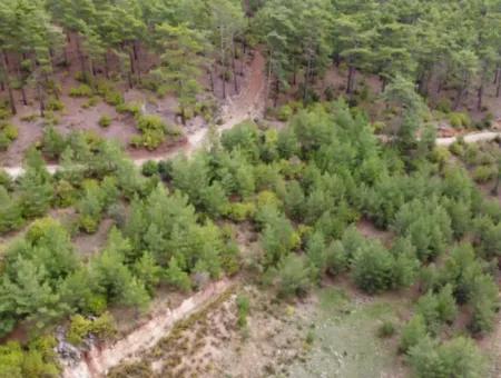 Fethiye Üzümlü Kızılbelde 7.000M2, 250M2 İnşaat Hakkı Olan Satılık Yatırıma Uygun Arazi