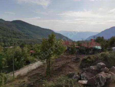 Muğla Köyceğiz Yayla Mah 560 M2 Arsa Satılık