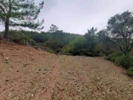 Muğla Dalyan Gökbelde Doğa İçinde 24.000 M2 Müstakil Arazi Satılık