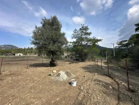 Dalyan Gökbelde 1084 M2 Köşe Parsel Satılık