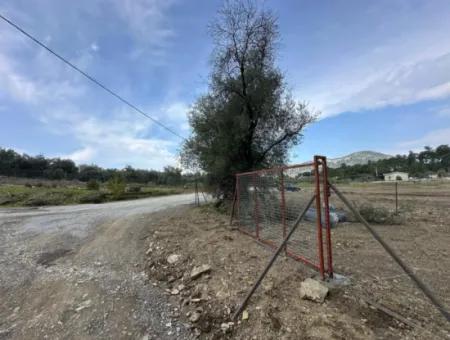 Dalyan Gökbelde 1084 M2 Köşe Parsel Satılık