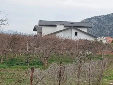 Dalyan'da 5094 M2, 250 M2 İnşaat İzinli Yatırıma Uygun Nar Bahçesi Satılık.